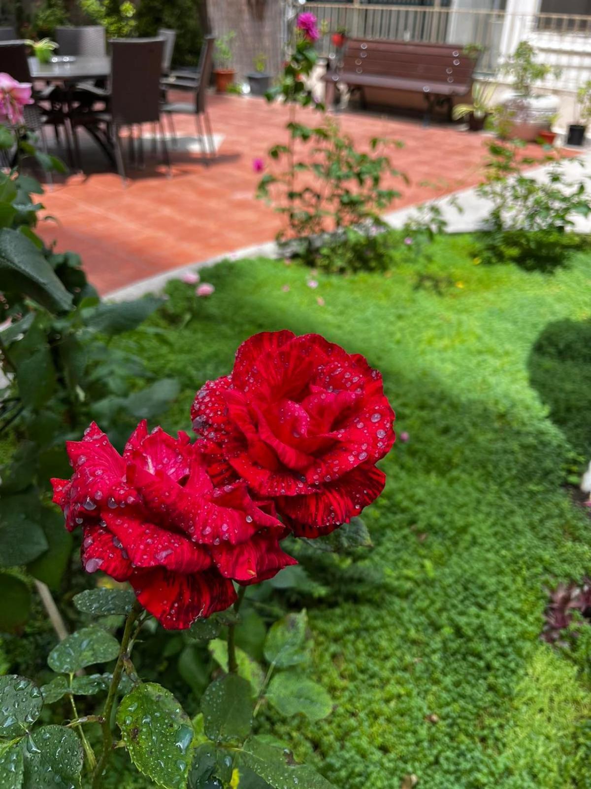 Rose Garden Omax Apartments Σάνι Μπιτς Εξωτερικό φωτογραφία